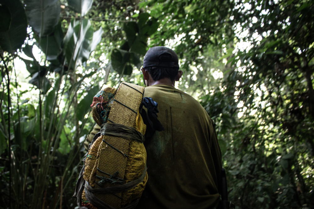 Farmer heading to harvest Coca with a basket used to transport the harvested coca leaves. Credit: Diego Lagos / @dalagossph